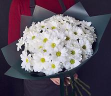 Букет цветов из:  Хризантемы #REPLACE_PRED# Сасово